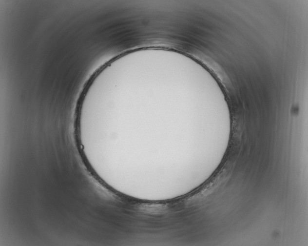 X0000116841135201001081453