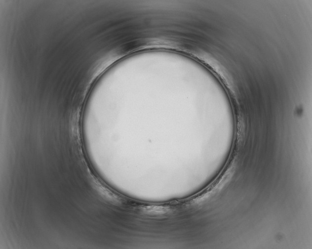 X0000116841137201001081453