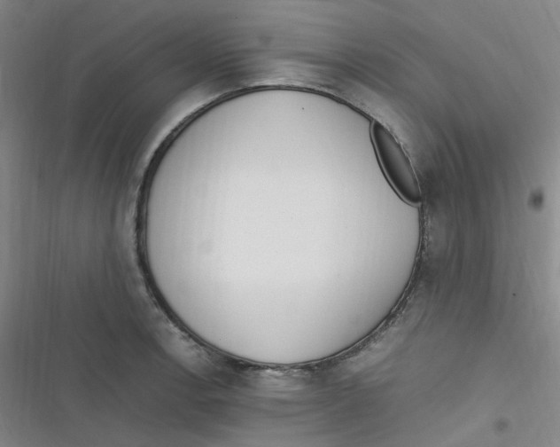 X0000116841138201001081453