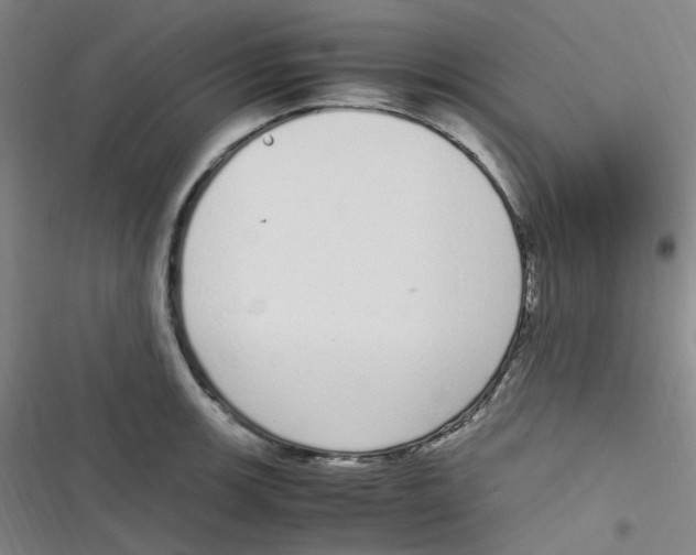 X0000116841139201001081453