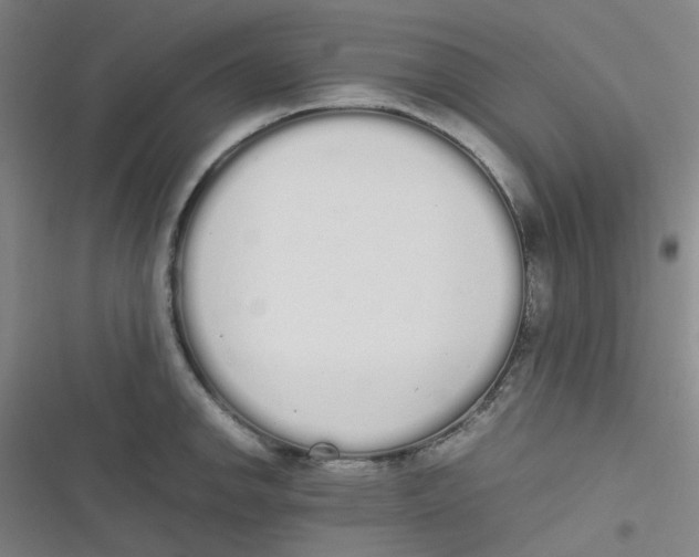 X0000116841142201001081453