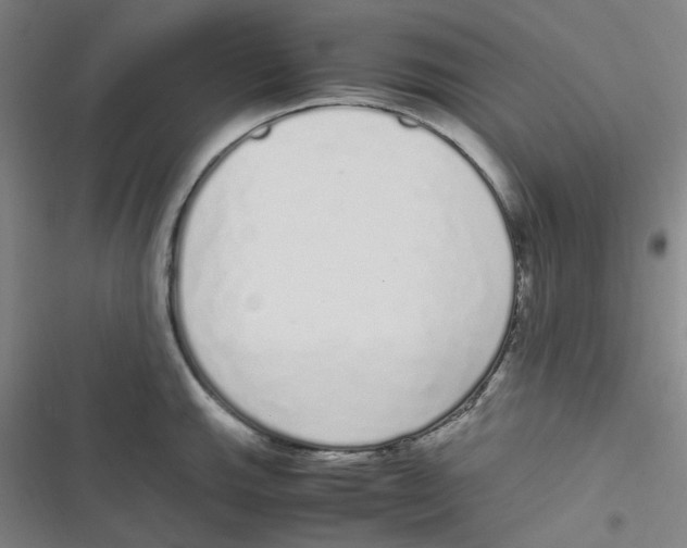 X0000116841143201001081453