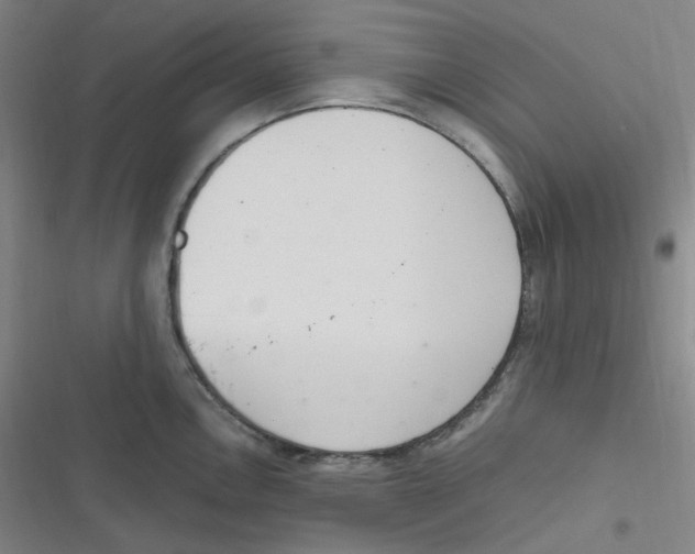 X0000116841146201001081453