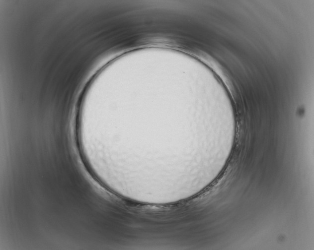 X0000116841147201001081453