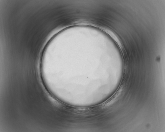 X0000116841149201001081453