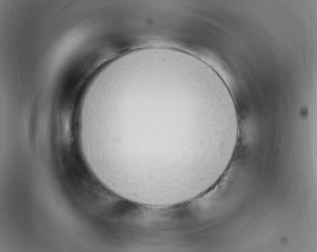 X0000116841150201001081453