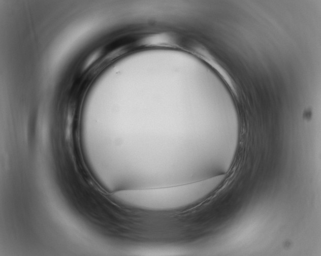 X0000116841151201001081453