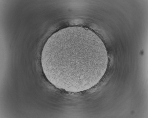 X0000116841153201001081453