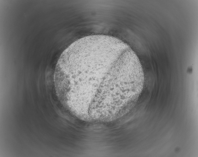 X0000116841154201001081453