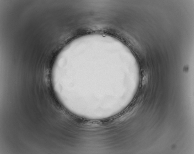 X0000116841156201001081452