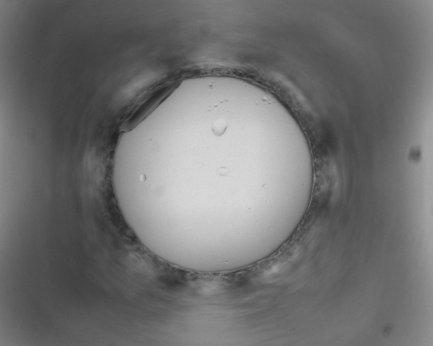 X0000116841157201001081452