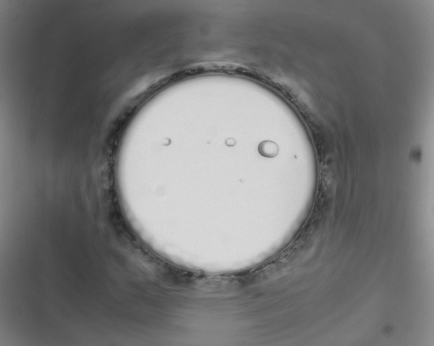 X0000116841159201001081452