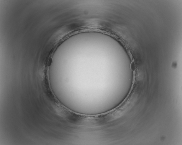 X0000116841161201001081452