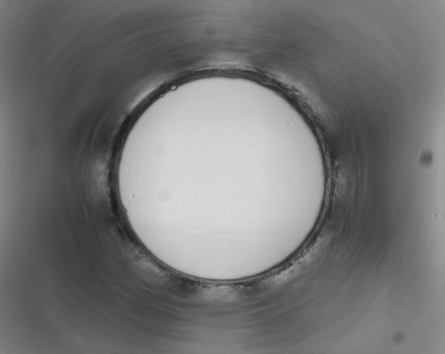 X0000116841162201001081452