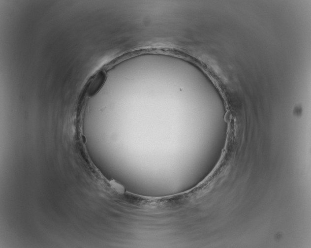 X0000116841165201001081452