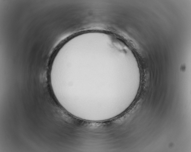 X0000116841166201001081452