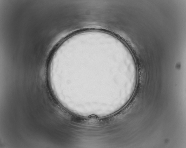 X0000116841167201001081452