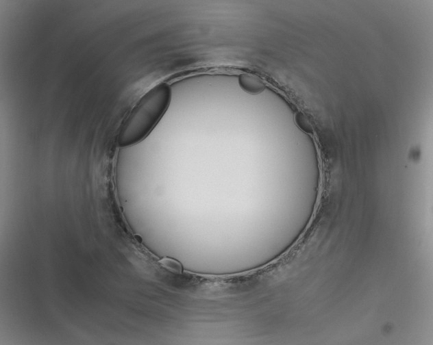 X0000116841169201001081452