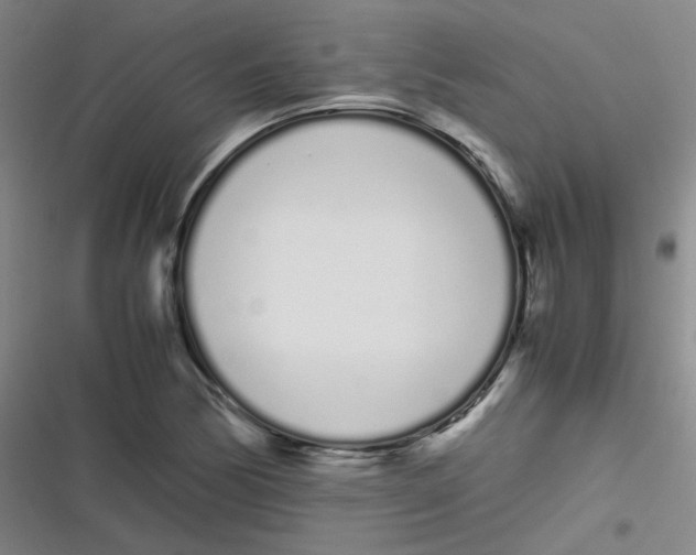 X0000116841170201001081452