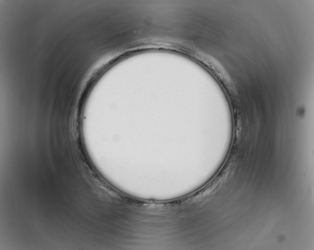 X0000116841172201001081452