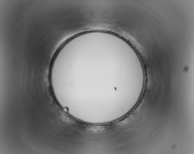 X0000116841174201001081452