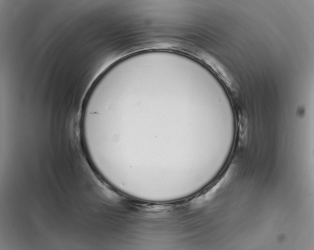 X0000116841178201001081452