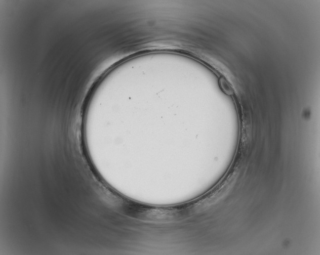 X0000116841179201001081452