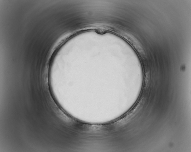 X0000116841180201001081452