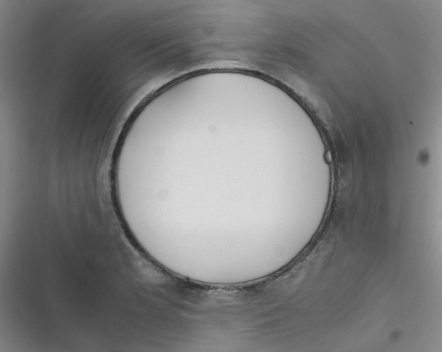 X0000116841181201001081452