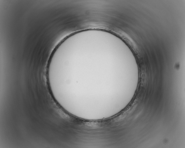 X0000116841182201001081452