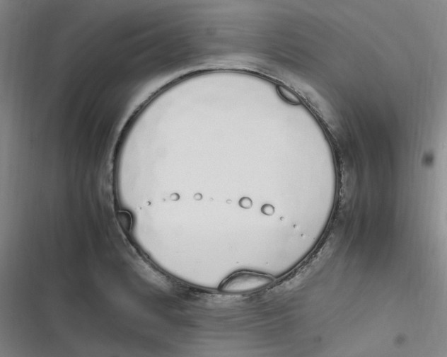 X0000116841184201001081452