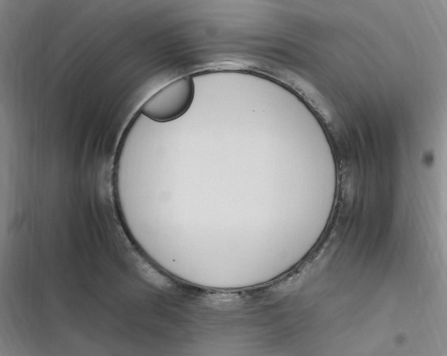 X0000116841186201001081452