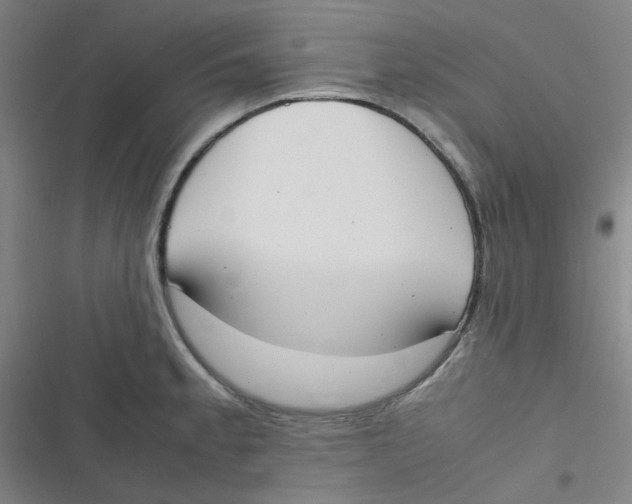 X0000116841189201001081452