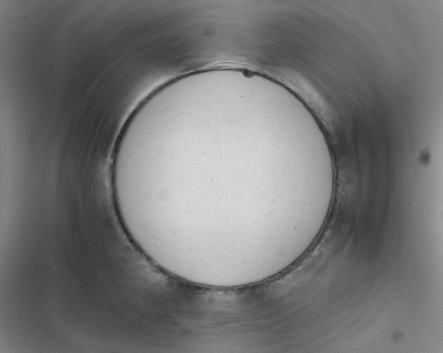 X0000116841190201001081452