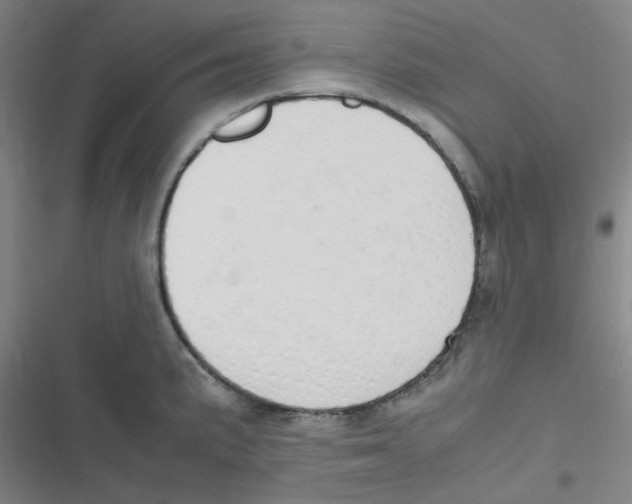 X0000116841191201001081452