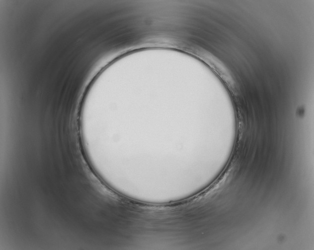 X0000116841192201001081452