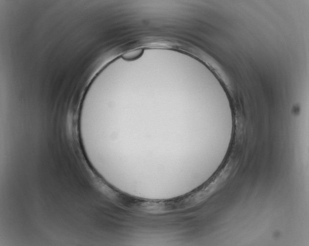 X0000116841194201001081452