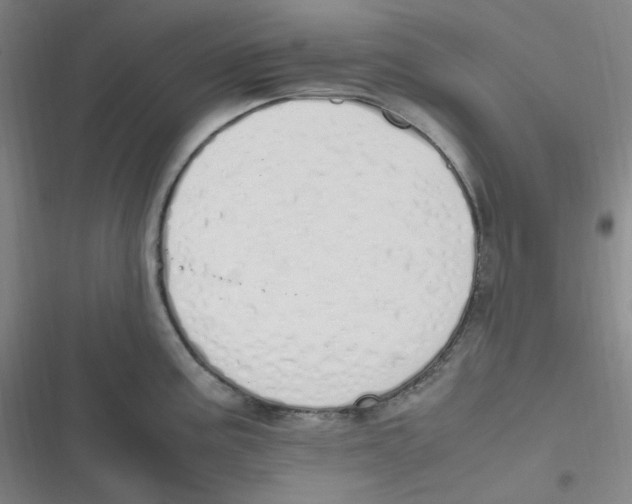 X0000116841195201001081452