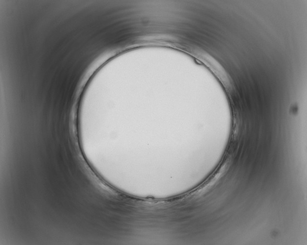 X0000116841196201001081452