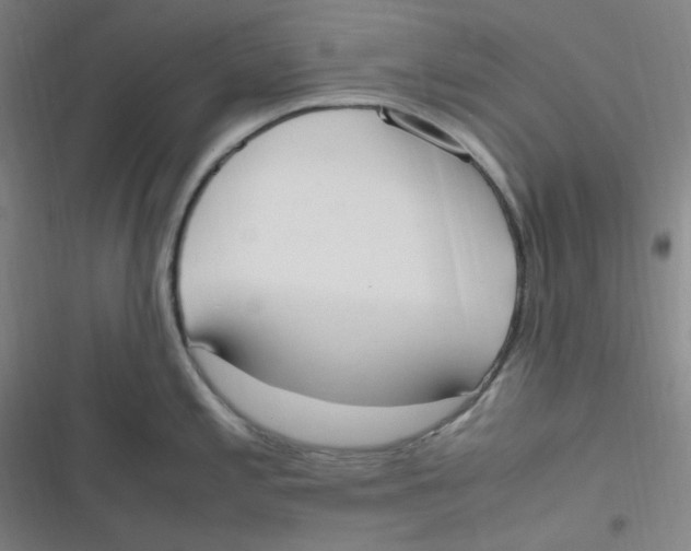 X0000116841197201001081452