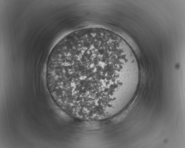 X0000116841198201001081452