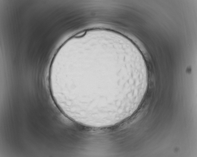 X0000116841199201001081452