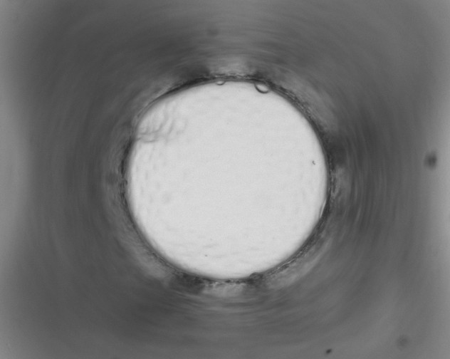 X0000116841201201001081451