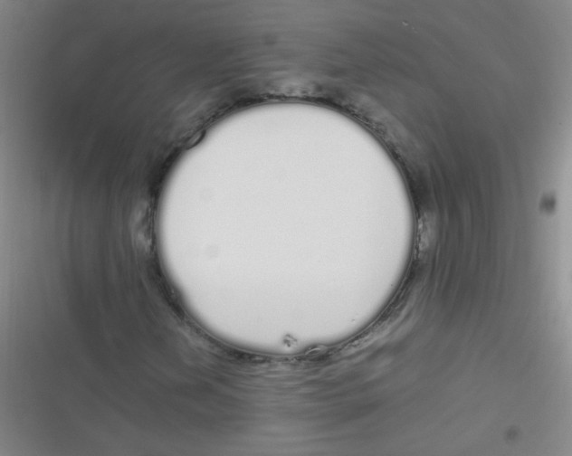 X0000116841202201001081451