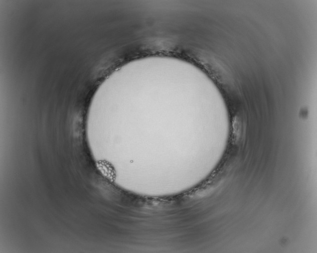 X0000116841203201001081451