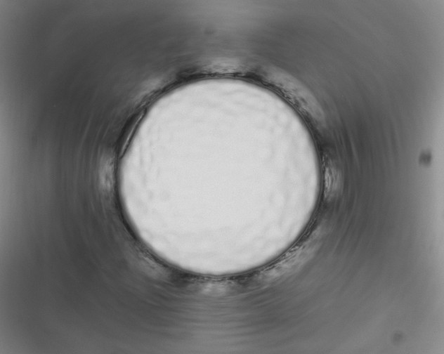 X0000116841204201001081451