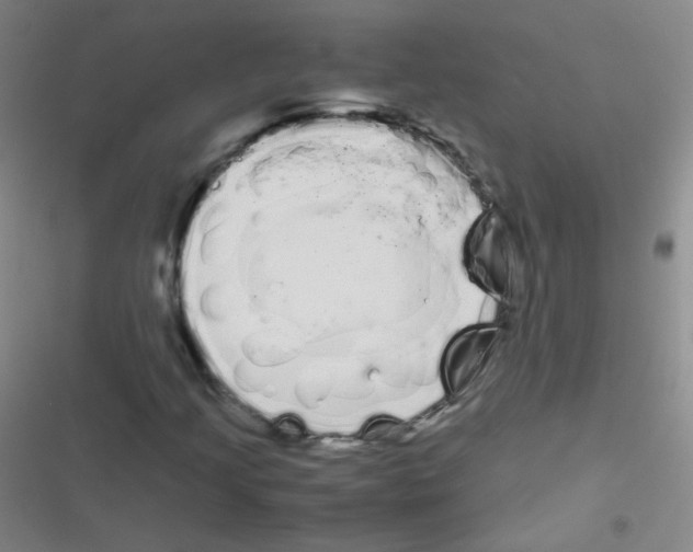 X0000116841205201001081451