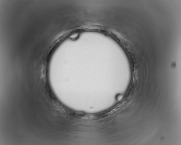 X0000116841206201001081451