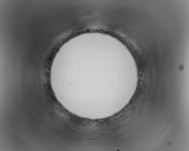 X0000116841207201001081451