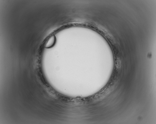 X0000116841208201001081451